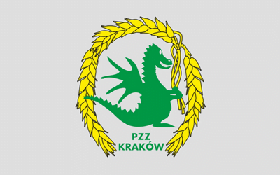 pzz logo